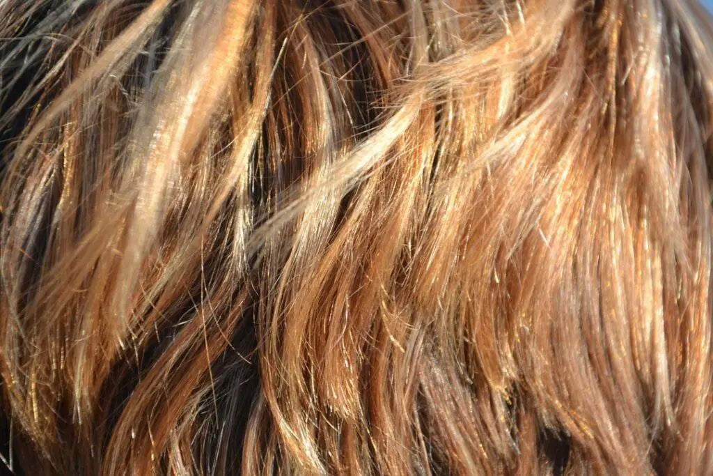 Capelli Secchi