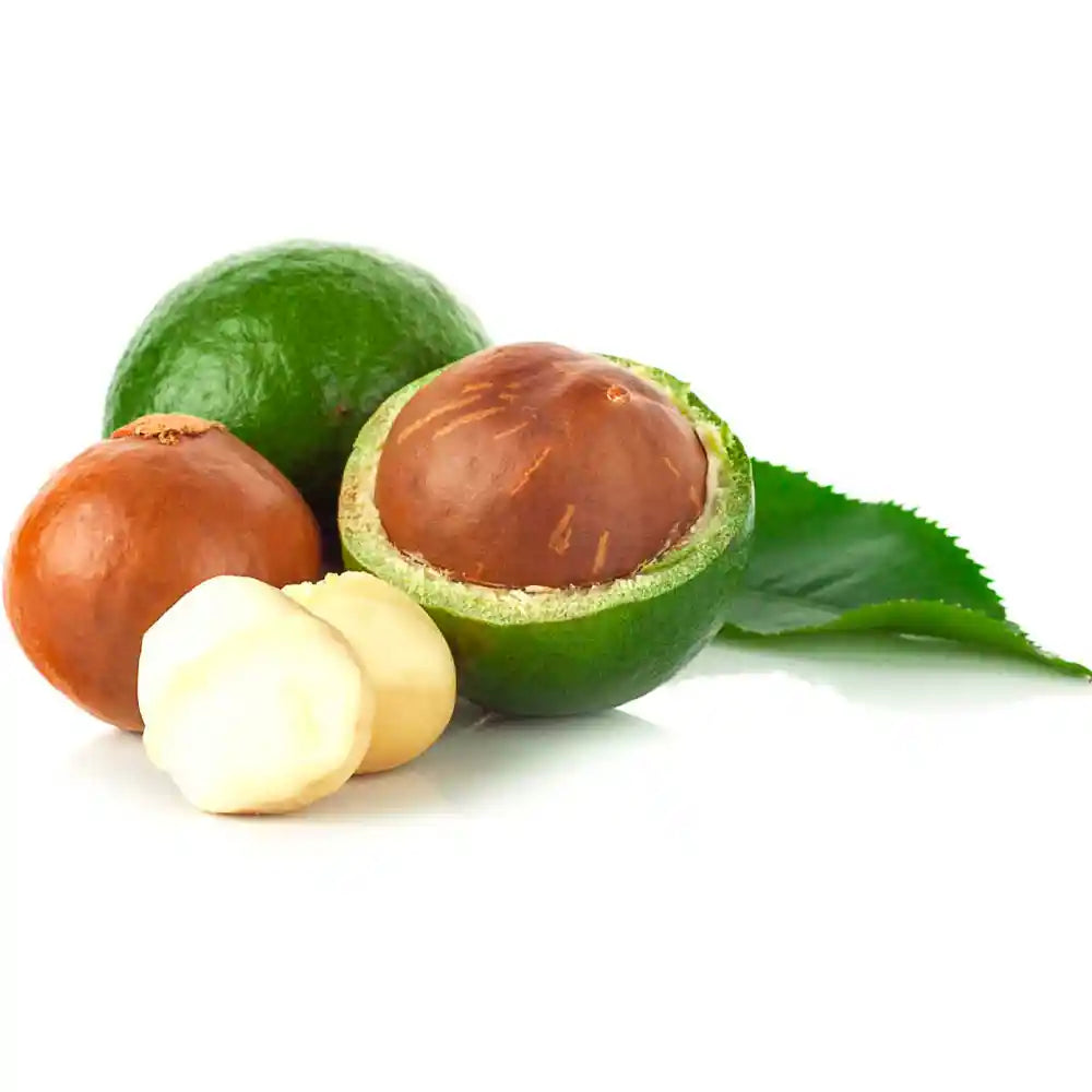 Olio di Macadamia emolliente e nutriente, ricco di acidi grassi preziosi, ideale per idratare, rigenerare e proteggere la pelle.