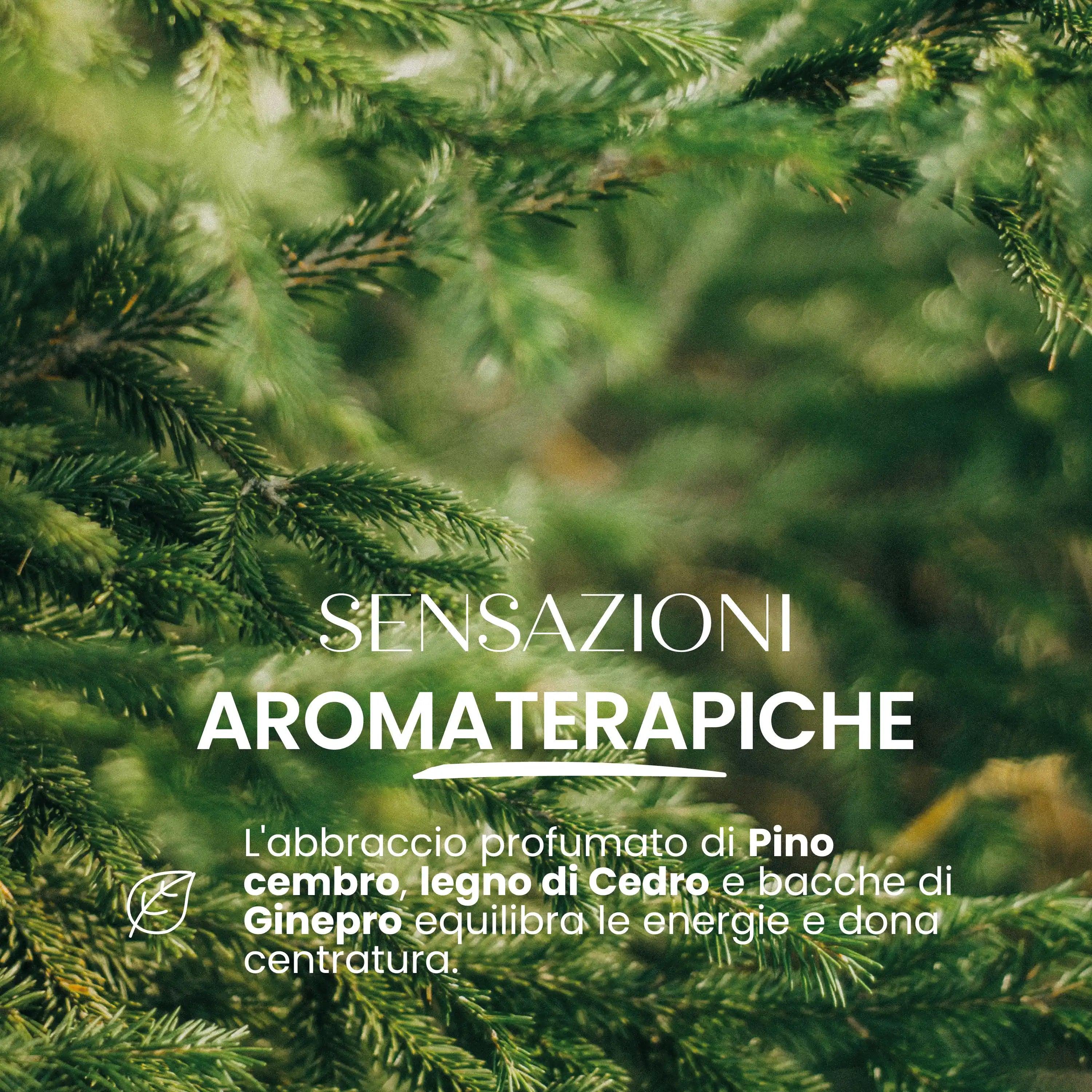 Candela Di Soia Bio Pino Cedro E Ginepro