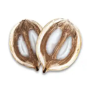 Olio di Babacu naturale, noto per le sue proprietà idratanti e lenitive, ideale per ammorbidire e proteggere la pelle sensibile e secca.