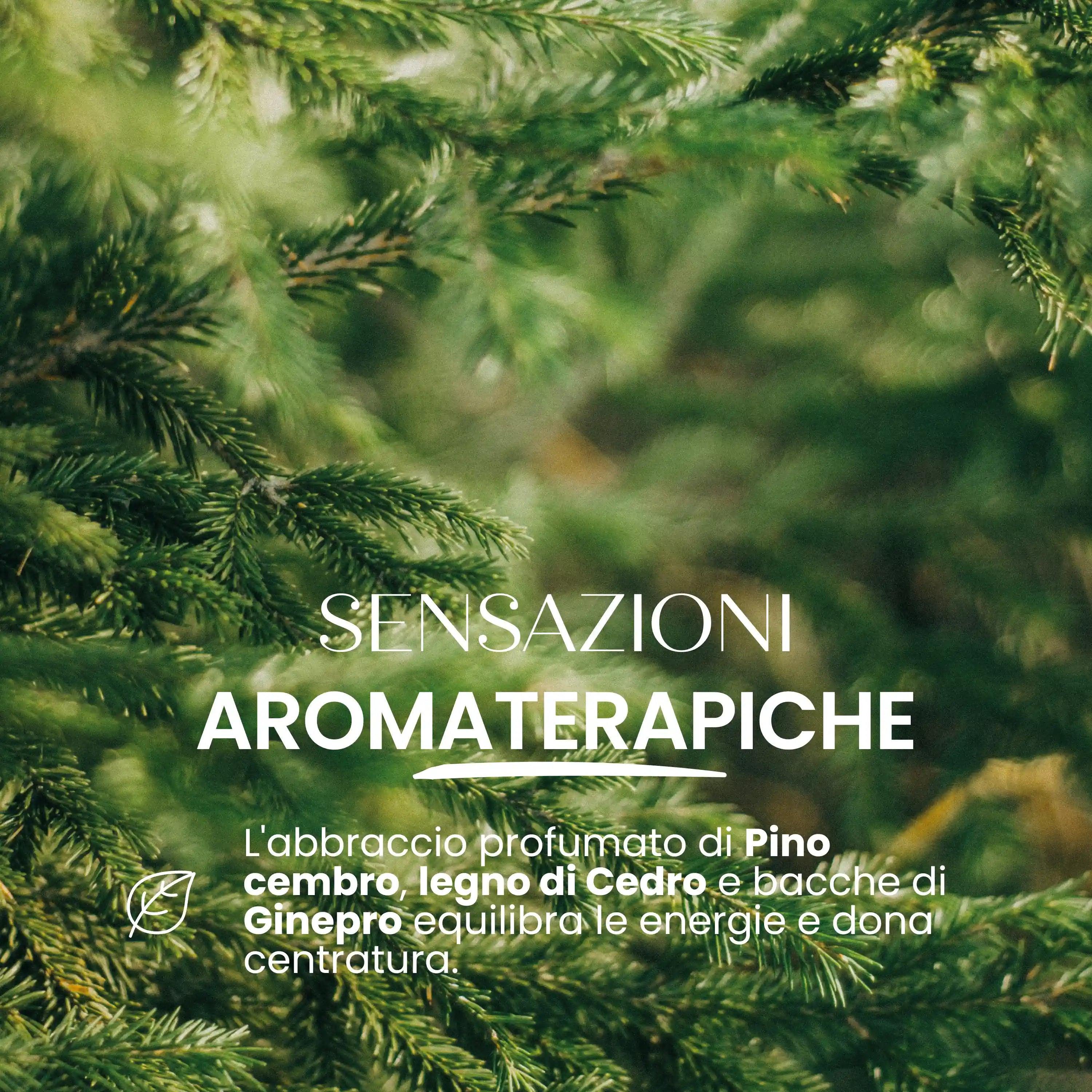 Profumo Solido Equilibrio Pino E Ginepro Bio Delicato