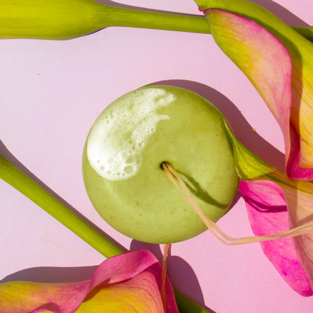 Shampoo rigenerante naturale per capelli secchi, sfibrati e danneggiati