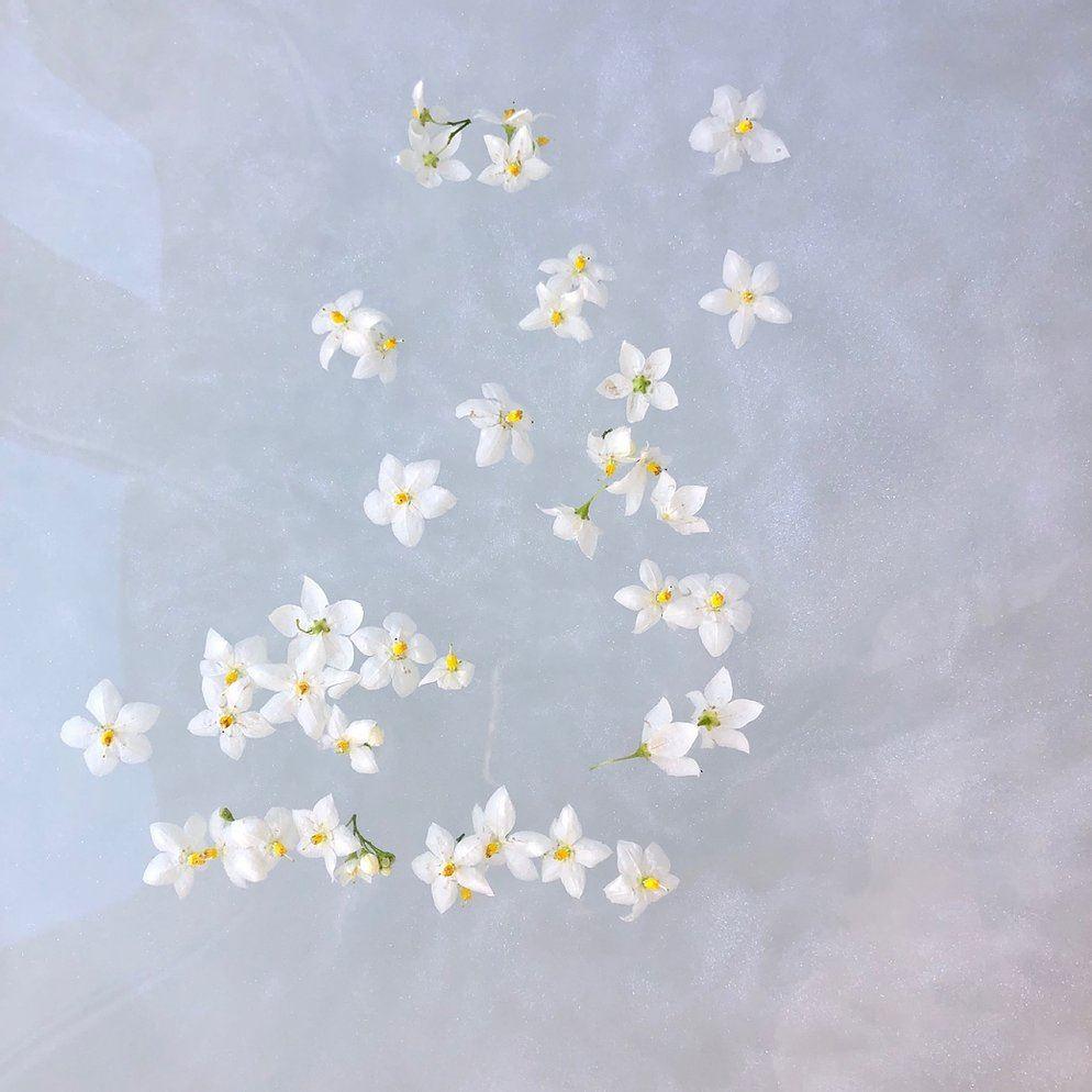 Bath Shimmer - Moonlight Kisses - Natural Bath Glitter