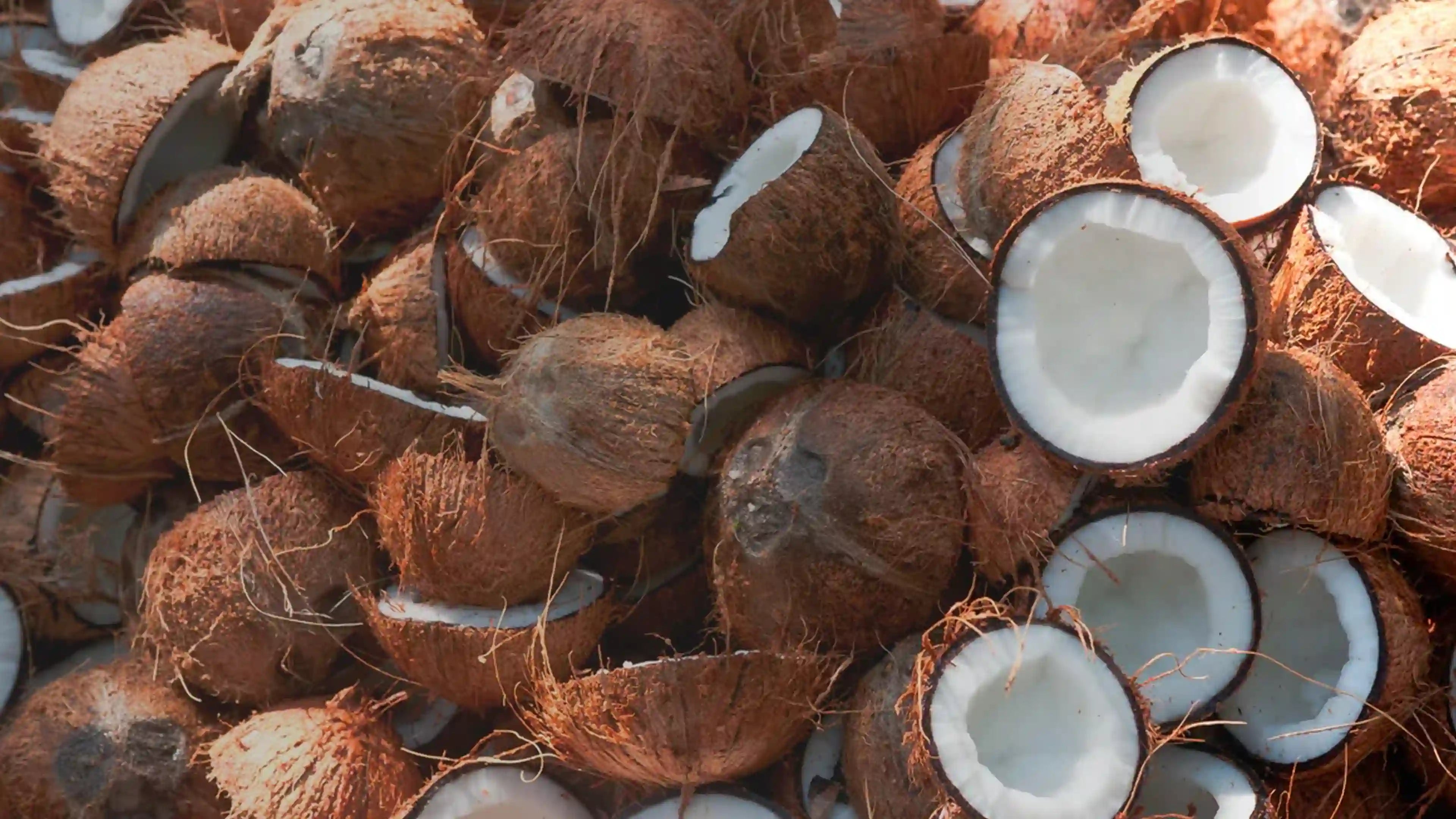 Olio di Cocco