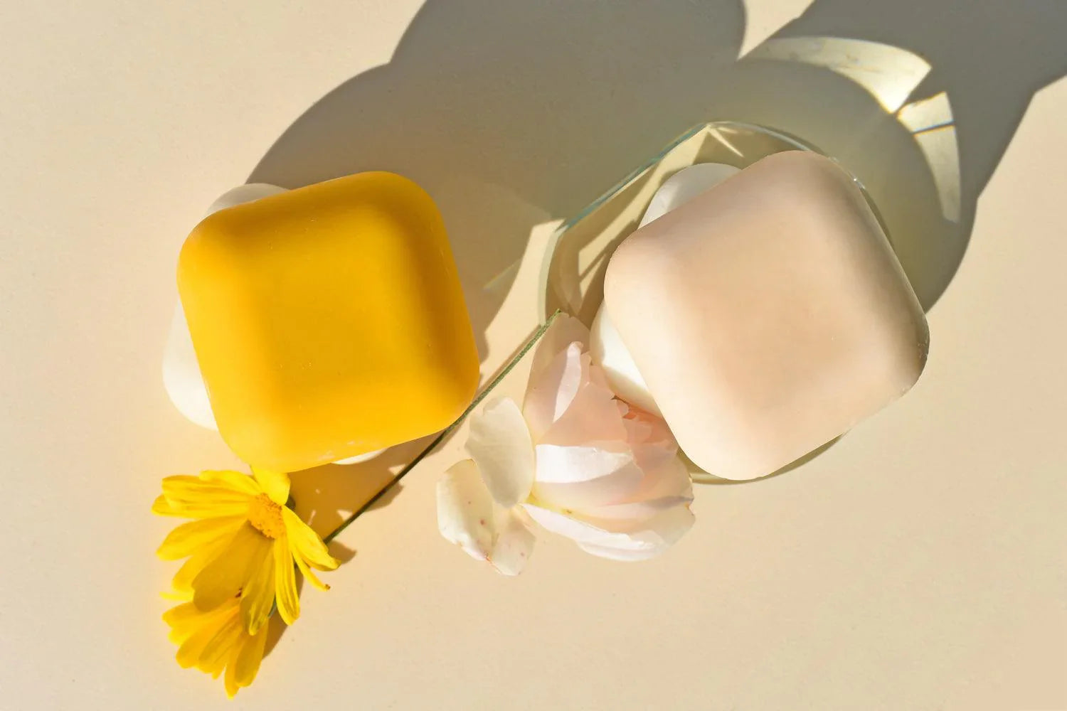 Olio Creme Corpo