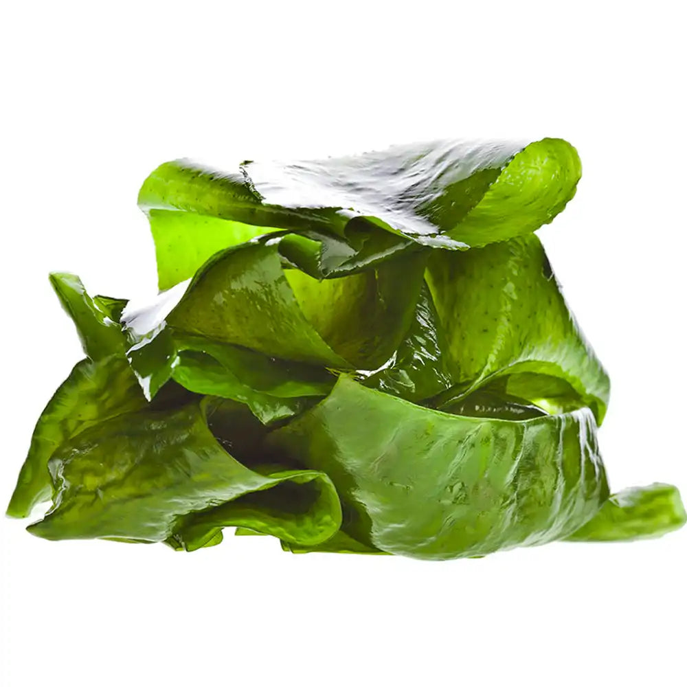 Alga Laminaria essiccata, ingrediente naturale per cosmetici detossinanti