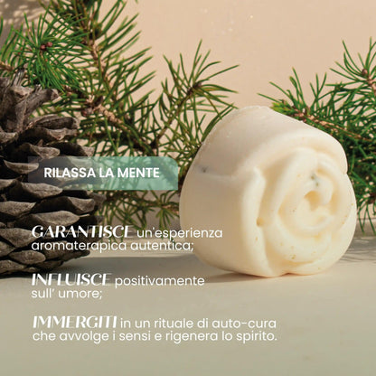 Essenza Solida Naturale Pino Ginepro Profumata Bio