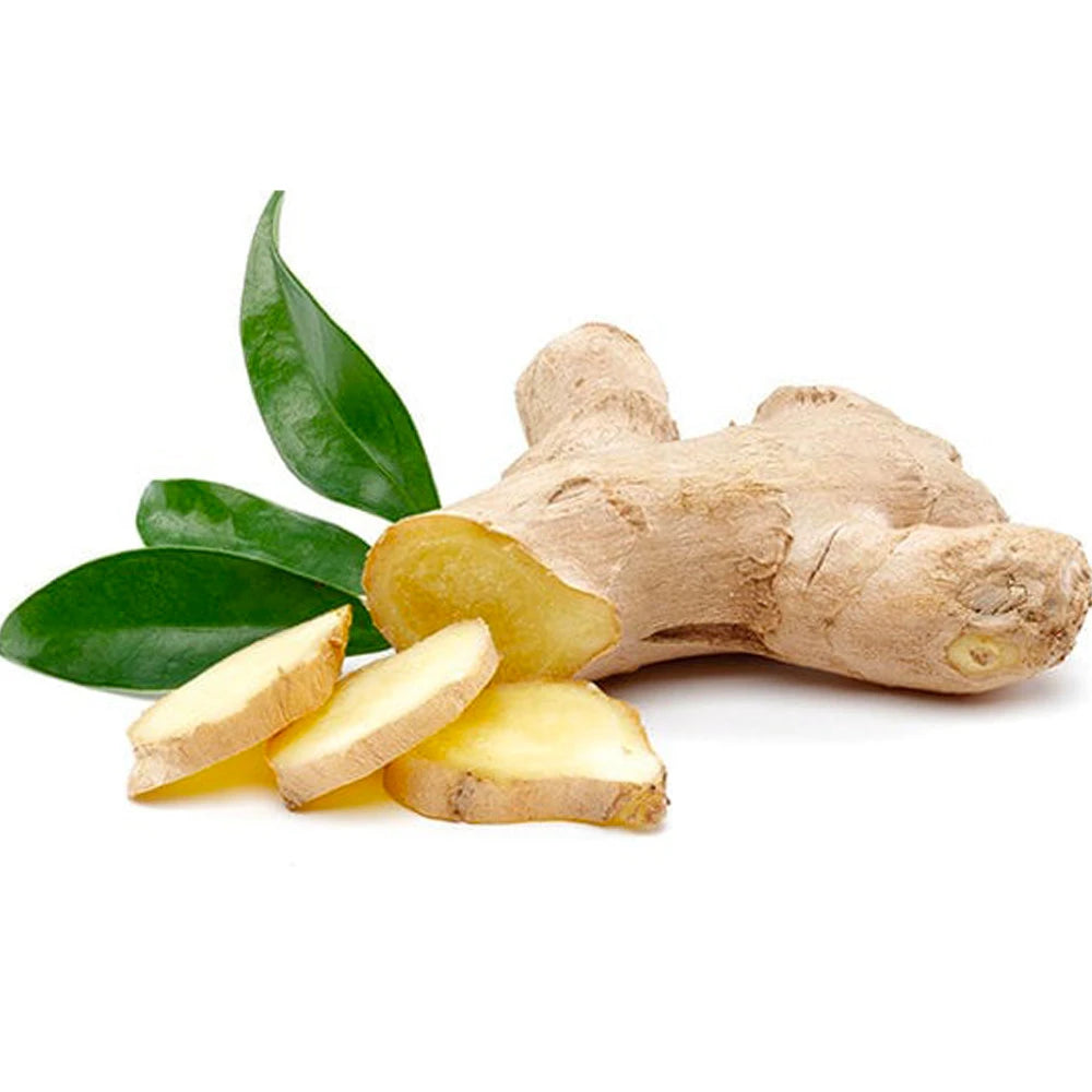 Estratto naturale della radice di zenzero usato in cosmetici per pelle e capelli