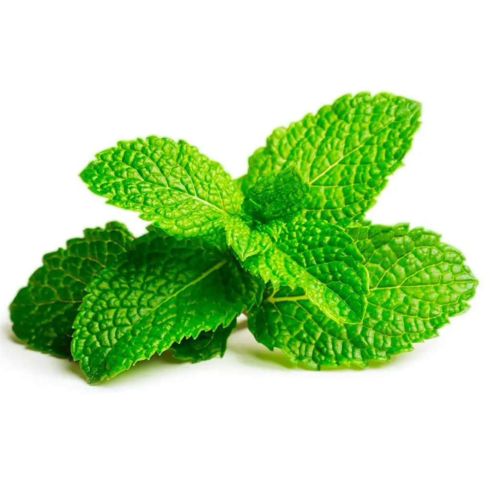 Olio essenziale di menta piperita su foglia verde, effetto rinfrescante e tonificante