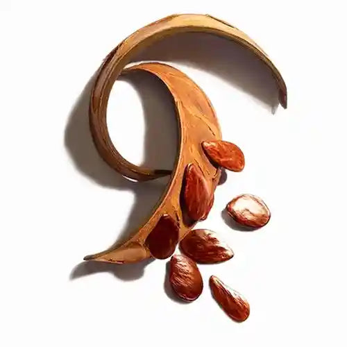 Olio di Pracaxi naturale, ricco di acidi grassi e proprietà rigeneranti, ideale per nutrire, ammorbidire e proteggere la pelle e i capelli.