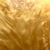 Bath Shimmer - Oh mein Gold! - Natürlicher Badeglitzer