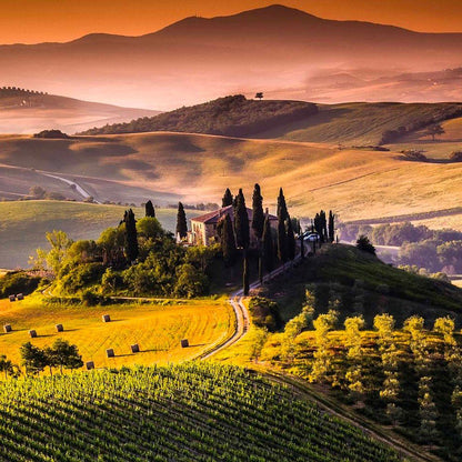 Emotion Box - PASSEGGIATA IN TOSCANA (Rosso di Montalcino)