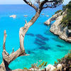 Emotion Box - SEDUCENTE SARDEGNA (Mirto e Ginepro) 2 SAPONETTE