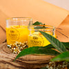 VANILLE und MANDARINE Duftende Sojakerze Medium